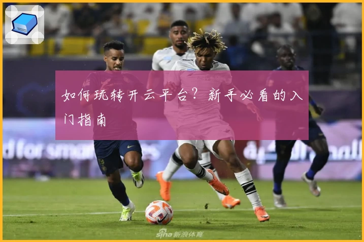 如何玩转开云平台?新手必看的入门指南