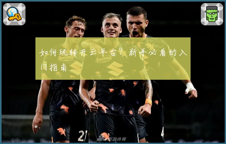 如何玩转开云平台?新手必看的入门指南