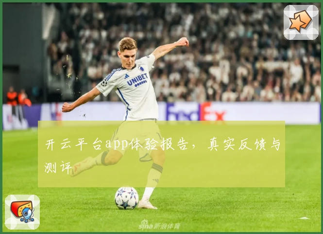 开云平台app体验报告，真实反馈与测评