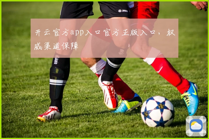 开云官方app入口官方正版入口，权威渠道保障